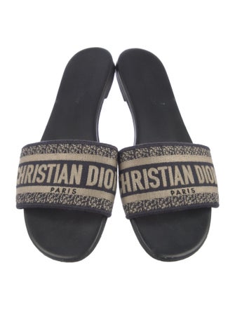 Christian Dior Printed Embroidered Accent Flats