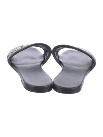 Christian Dior Printed Embroidered Accent Flats