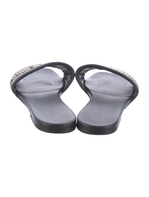 Christian Dior Printed Embroidered Accent Flats