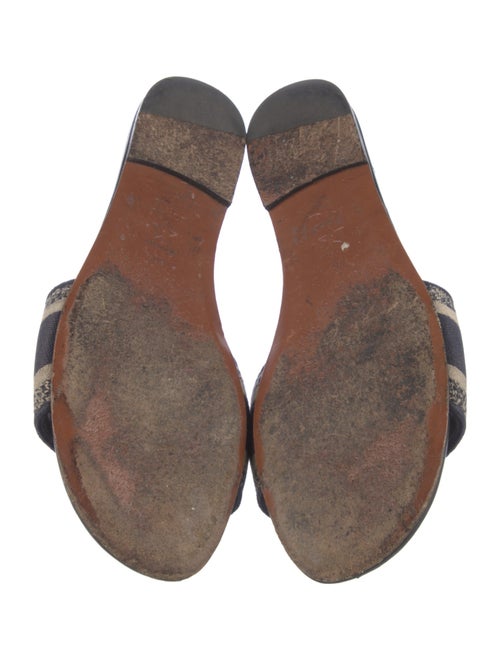 Christian Dior Printed Embroidered Accent Flats