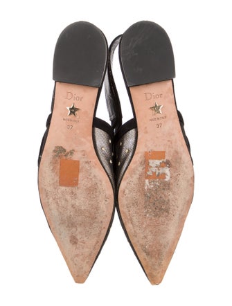 Christian Dior Mesh Printed Slingback Flats