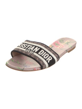 Christian Dior Canvas Printed Slides