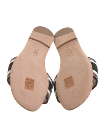 Christian Dior Canvas Printed Slides