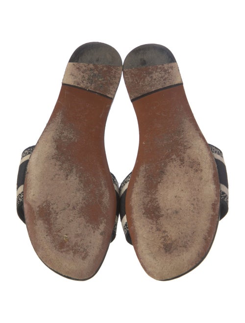 Christian Dior Graphic Print Slides