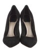 Christian Dior Suede Pumps
