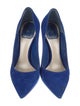 Christian Dior Suede Pumps