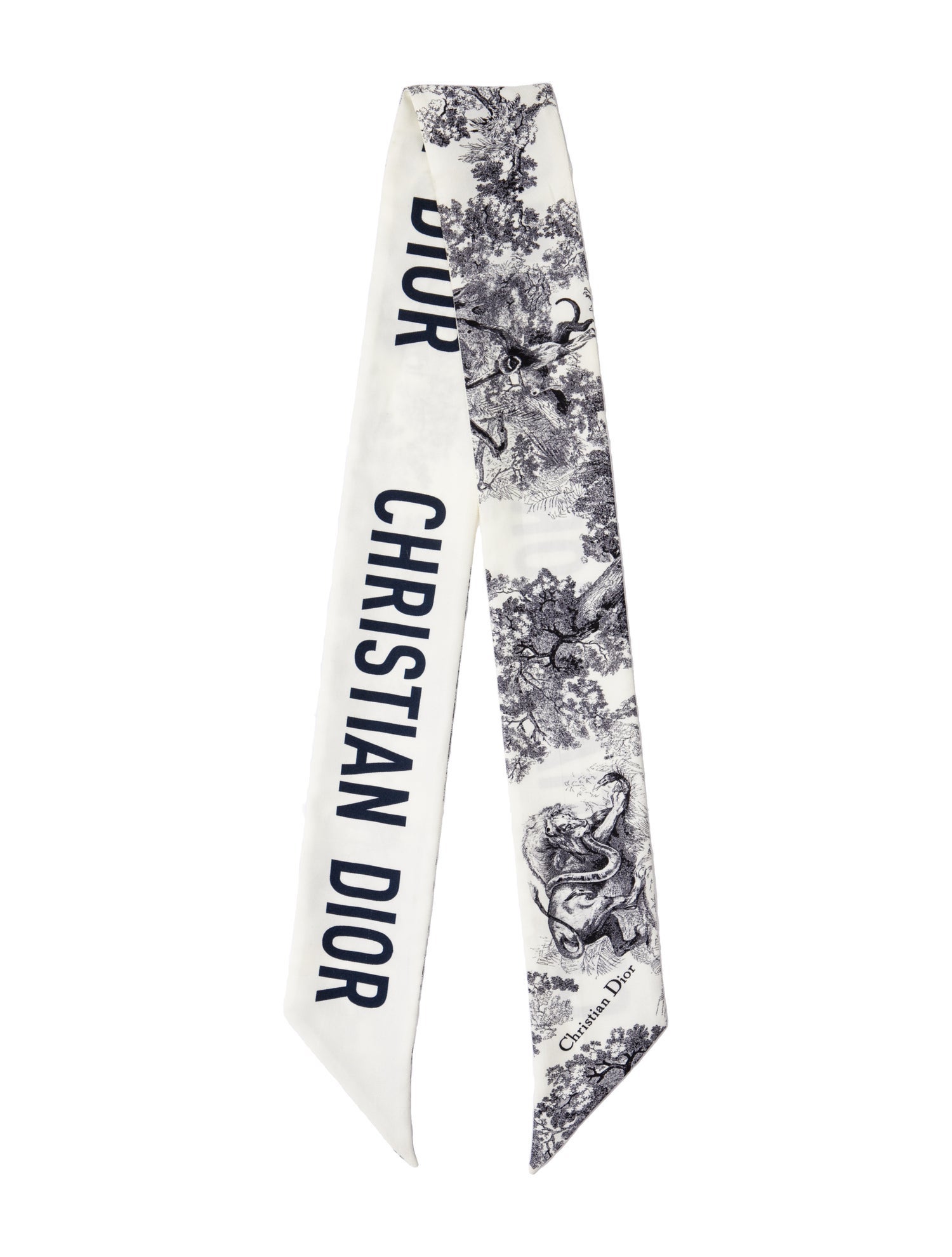 Christian Dior Silk Printed Scarf