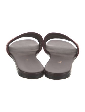 Christian Dior Printed Slides