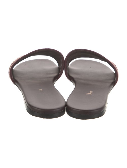 Christian Dior Printed Slides