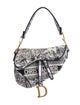 Christian Dior Ornamental Saddle 2022