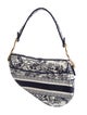 Christian Dior Ornamental Saddle 2022