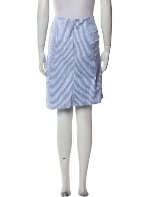 Christian Dior 2017 Knee-Length Skirt