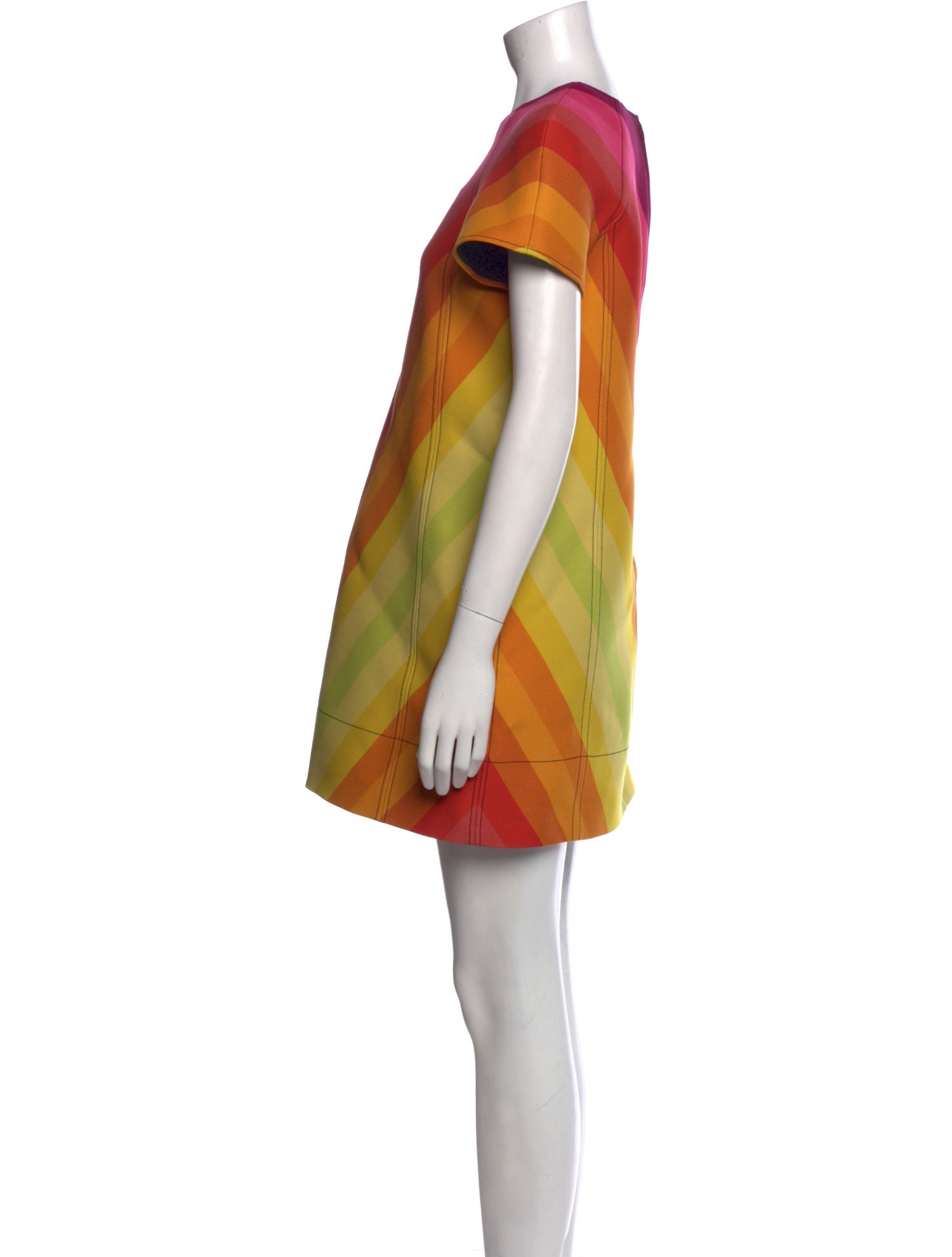 Christian Dior 2025 Mini Dress