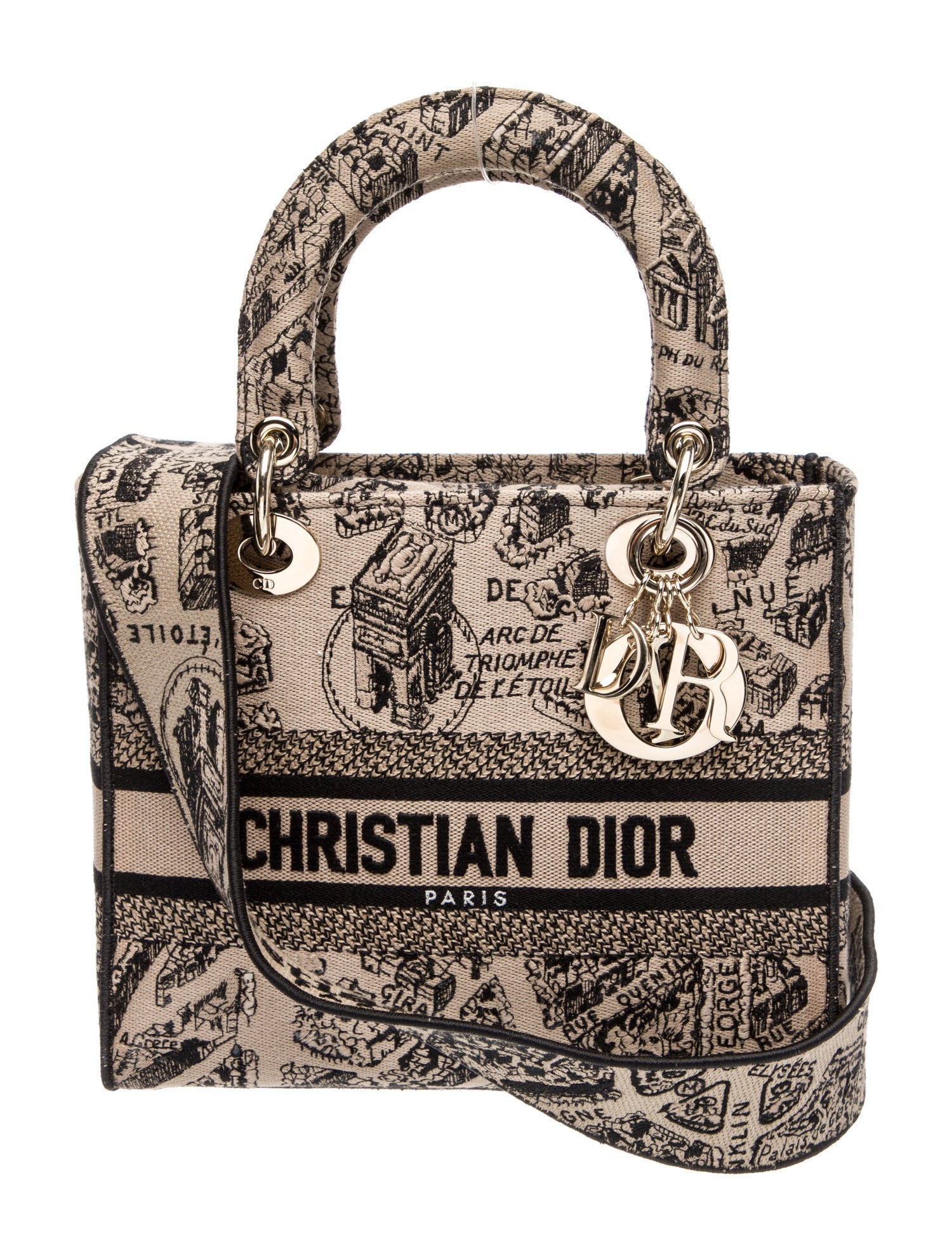 Christian Dior Canvas D-Lite 2023