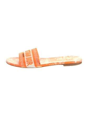 Christian Dior Graphic Print Embroidered Accent Slides