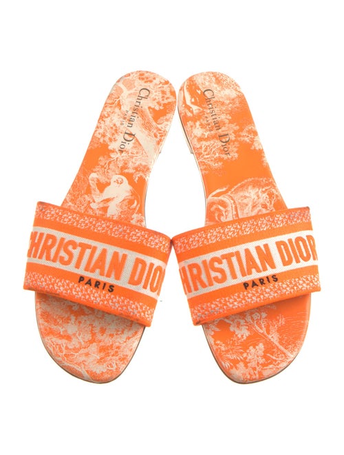 Christian Dior Graphic Print Embroidered Accent Slides