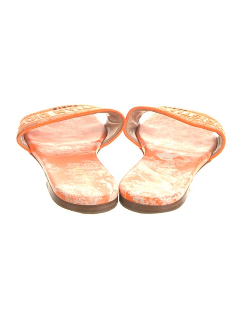 Christian Dior Graphic Print Embroidered Accent Slides