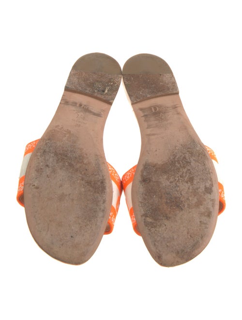 Christian Dior Graphic Print Embroidered Accent Slides