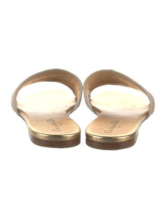Christian Dior Striped Slides