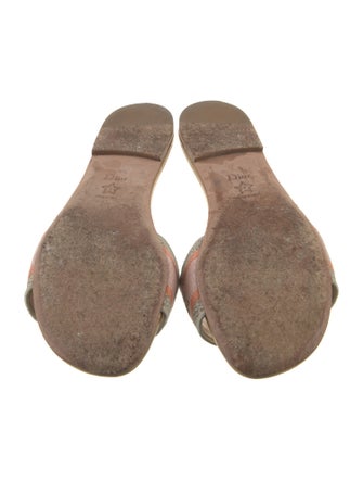 Christian Dior Striped Slides