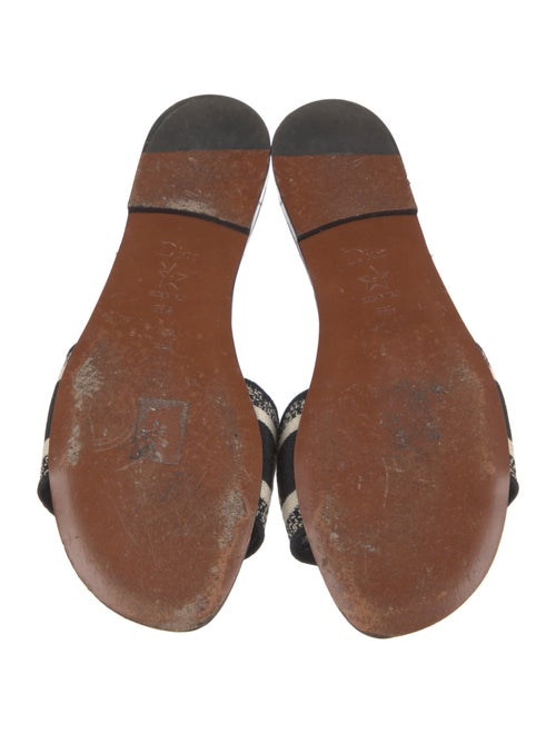 Christian Dior Printed Embroidered Accent Slides