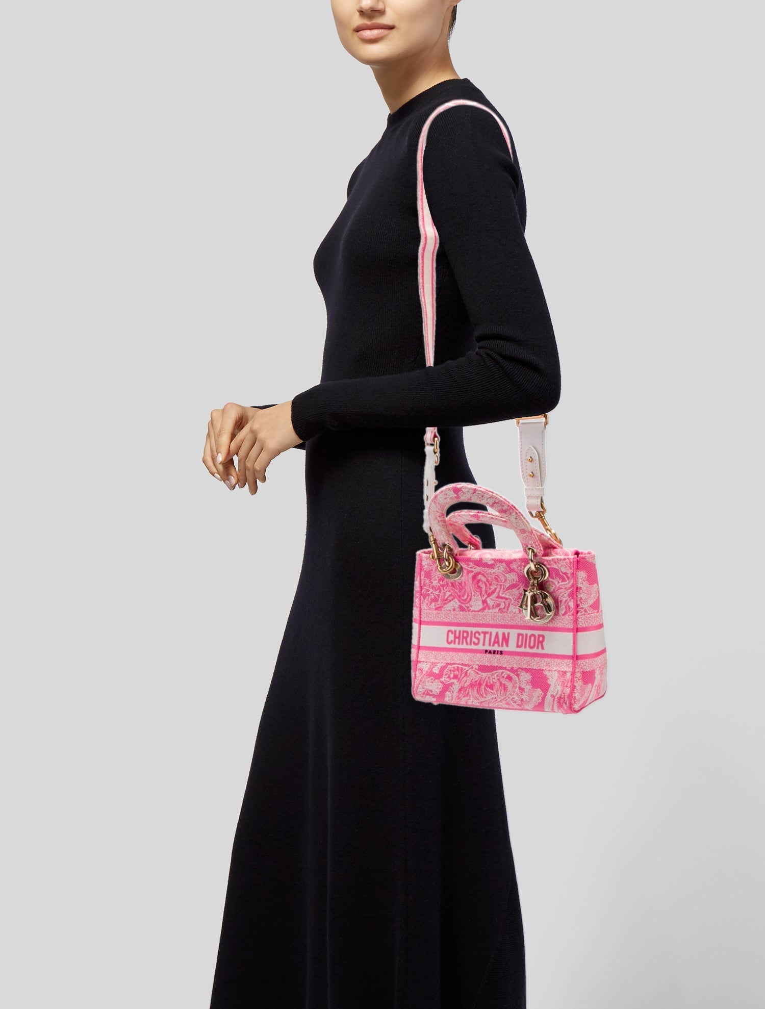 Christian Dior Toile de Jouy D-Lite 2022