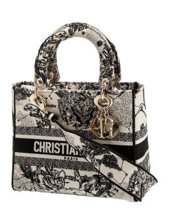 Christian Dior Canvas D-Lite Medium