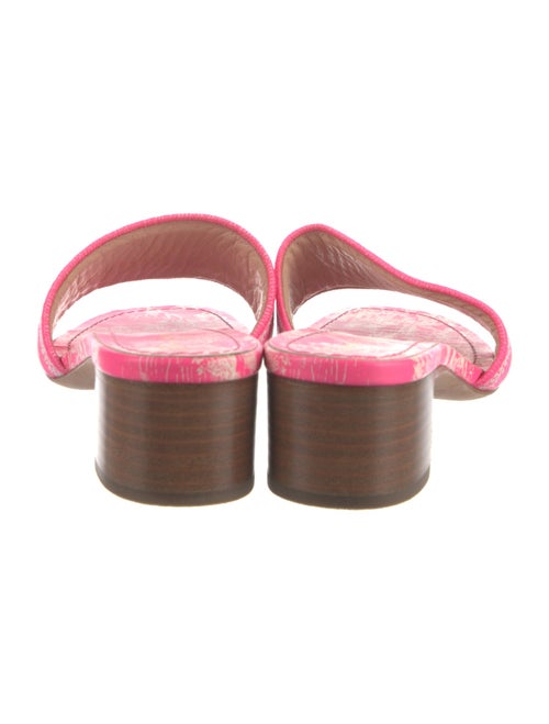 Christian Dior Printed Flats