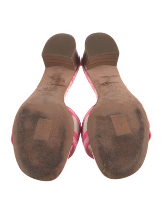 Christian Dior Printed Flats