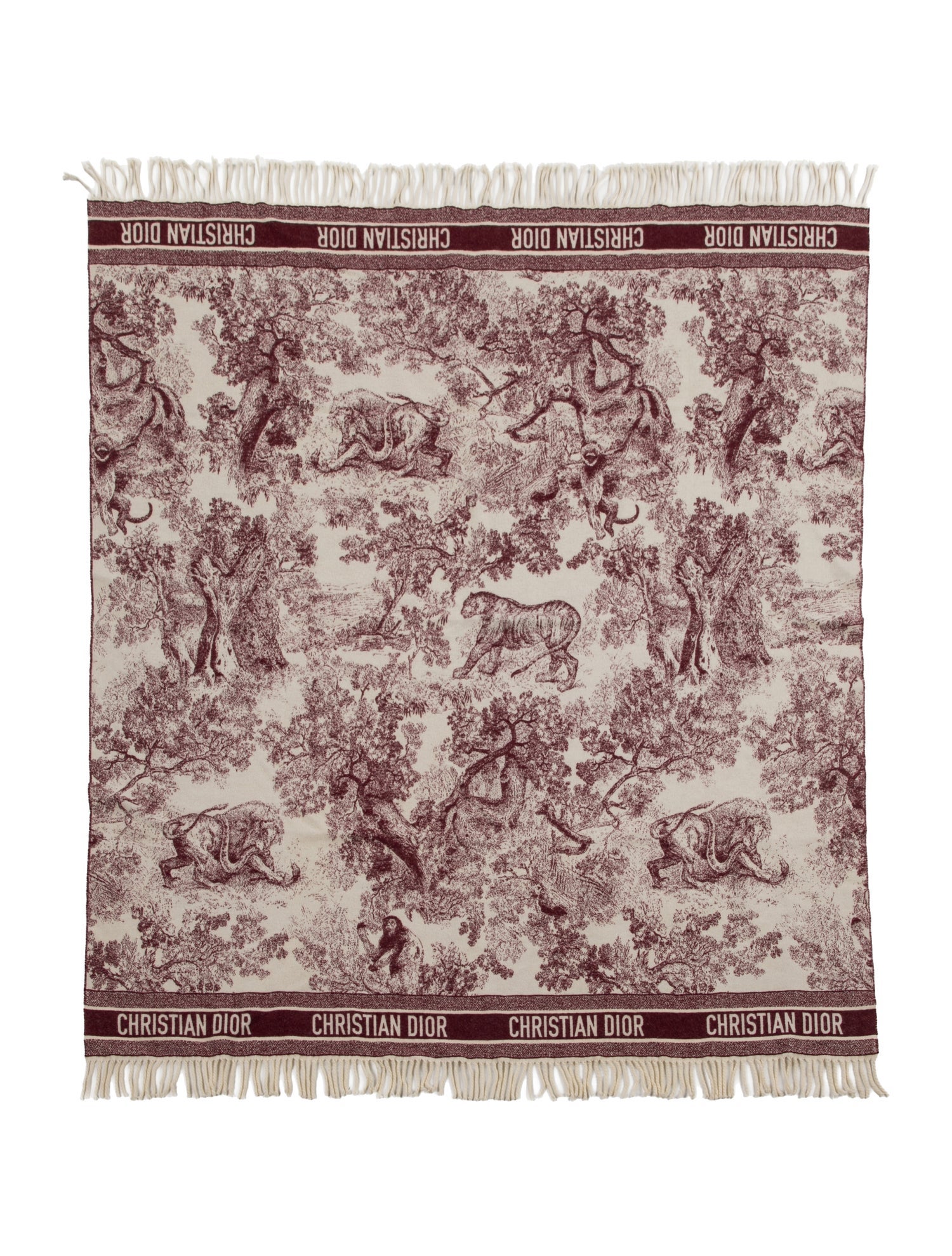 Christian Dior Printed Shawl