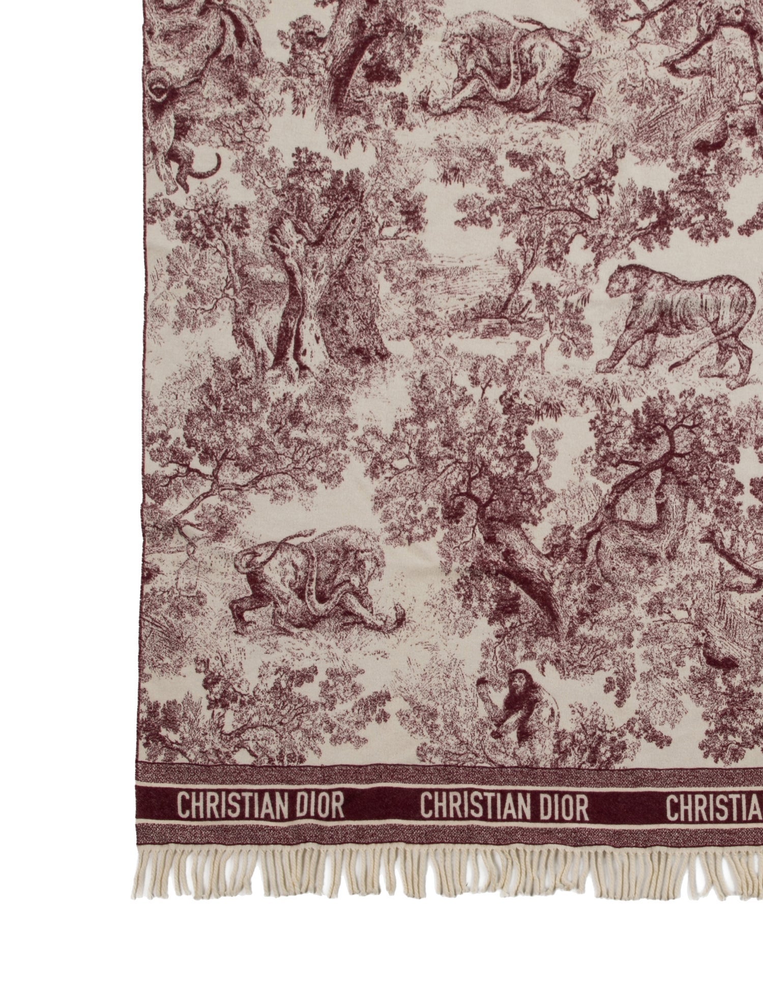 Christian Dior Printed Shawl