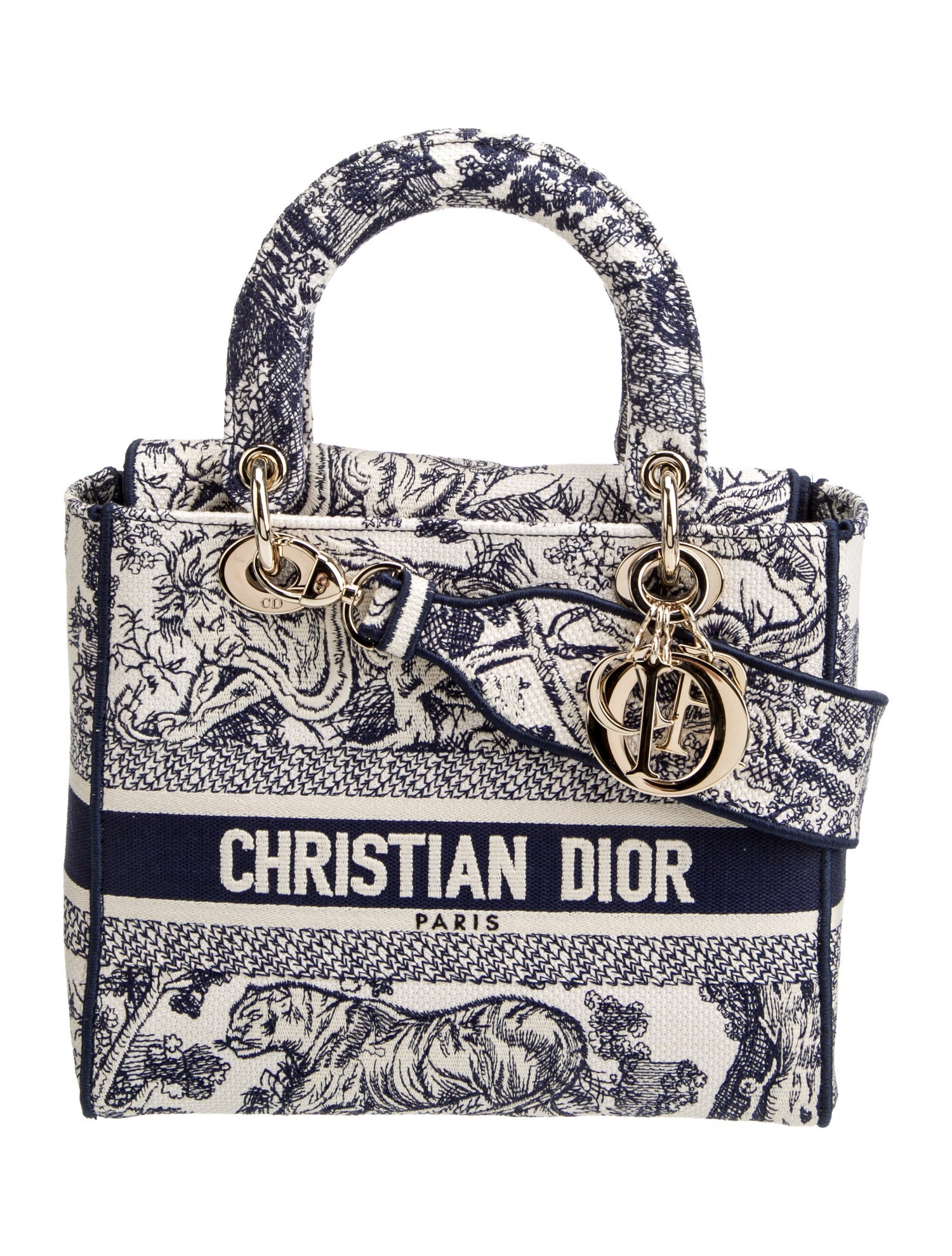 Christian Dior Canvas D-Lite Medium