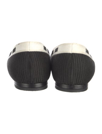 Christian Dior Printed Embroidered Accent Flats