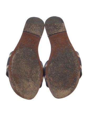 Christian Dior Printed Embroidered Accent Slides