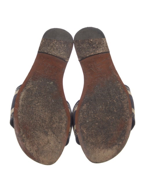 Christian Dior Printed Embroidered Accent Slides