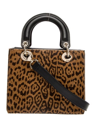 Christian Dior Ponyhair Lady Dior Small 2024