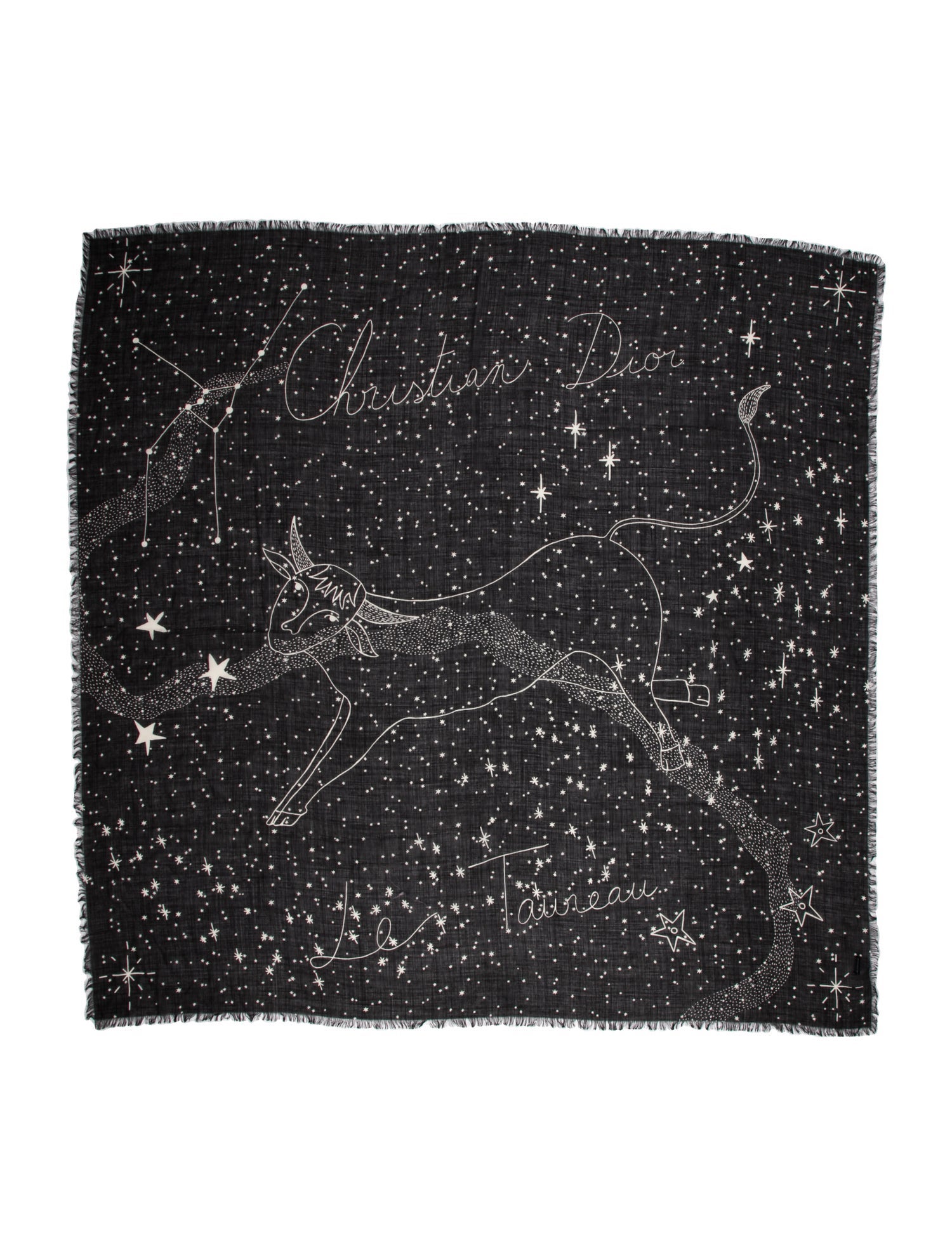 Christian Dior Wool Printed Scarf