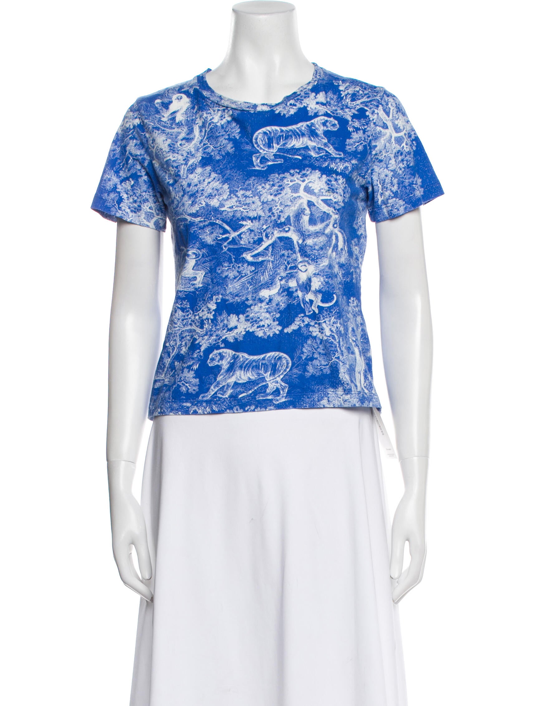 Christian Dior 2022 Paisley Print T-Shirt