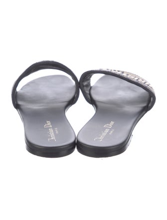 Christian Dior Printed Embroidered Accent Slides