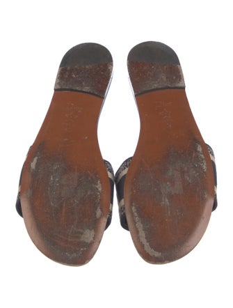 Christian Dior Printed Embroidered Accent Slides