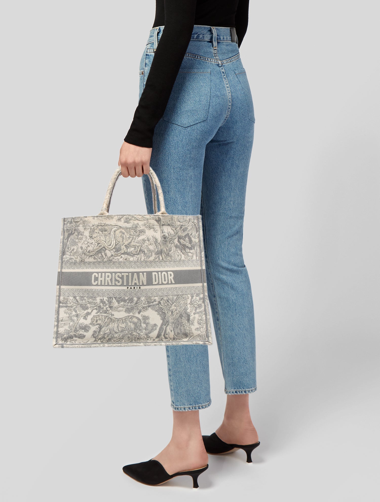 Christian Dior Toile de Jouy Book Large