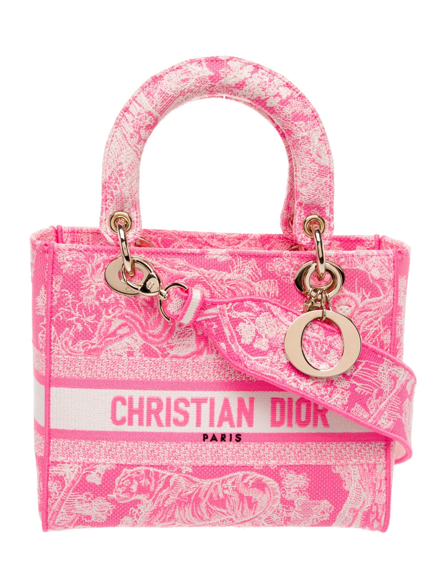 Christian Dior Canvas D-Lite Medium