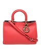 Christian Dior Leather Diorissimo