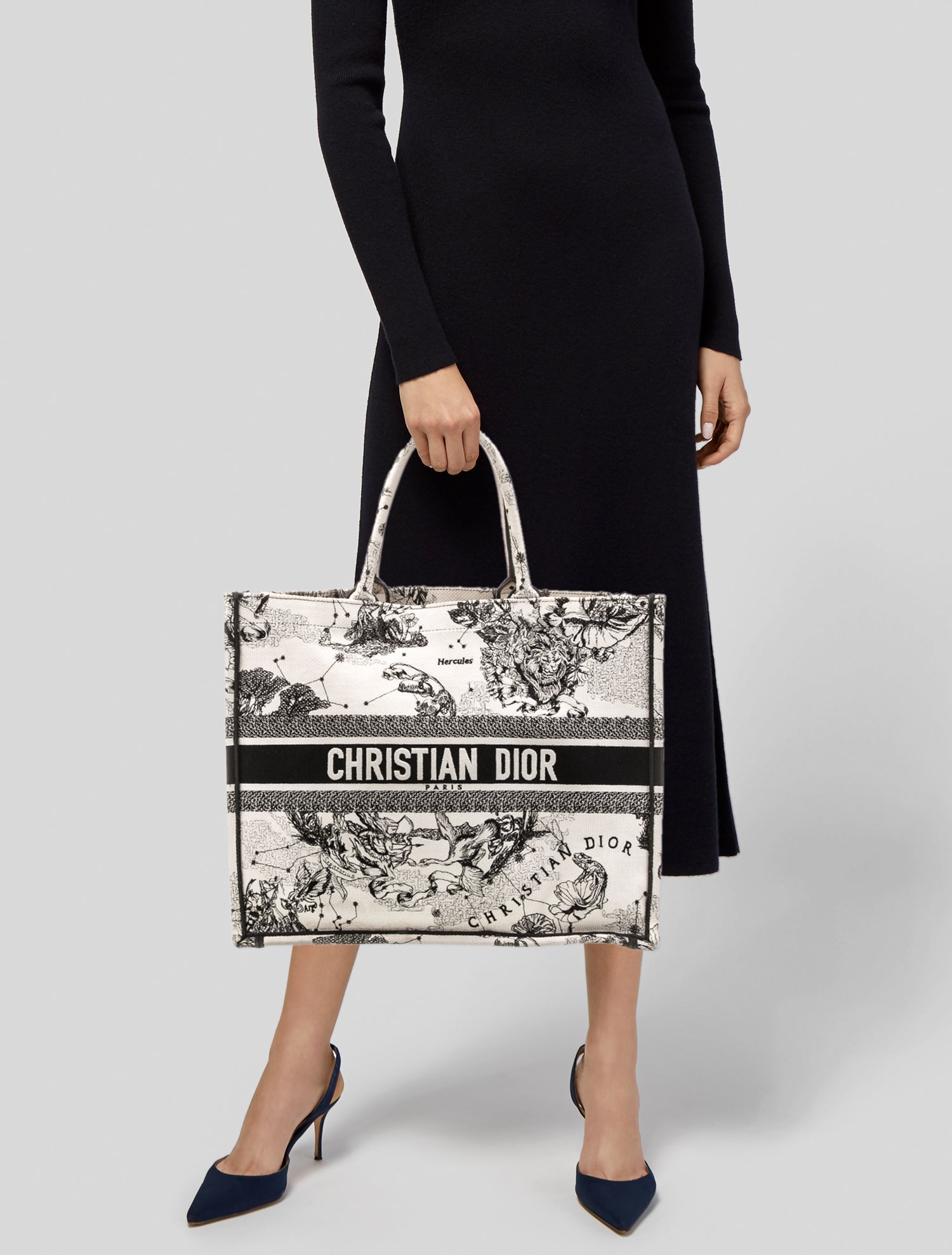 Christian Dior Canvas Book