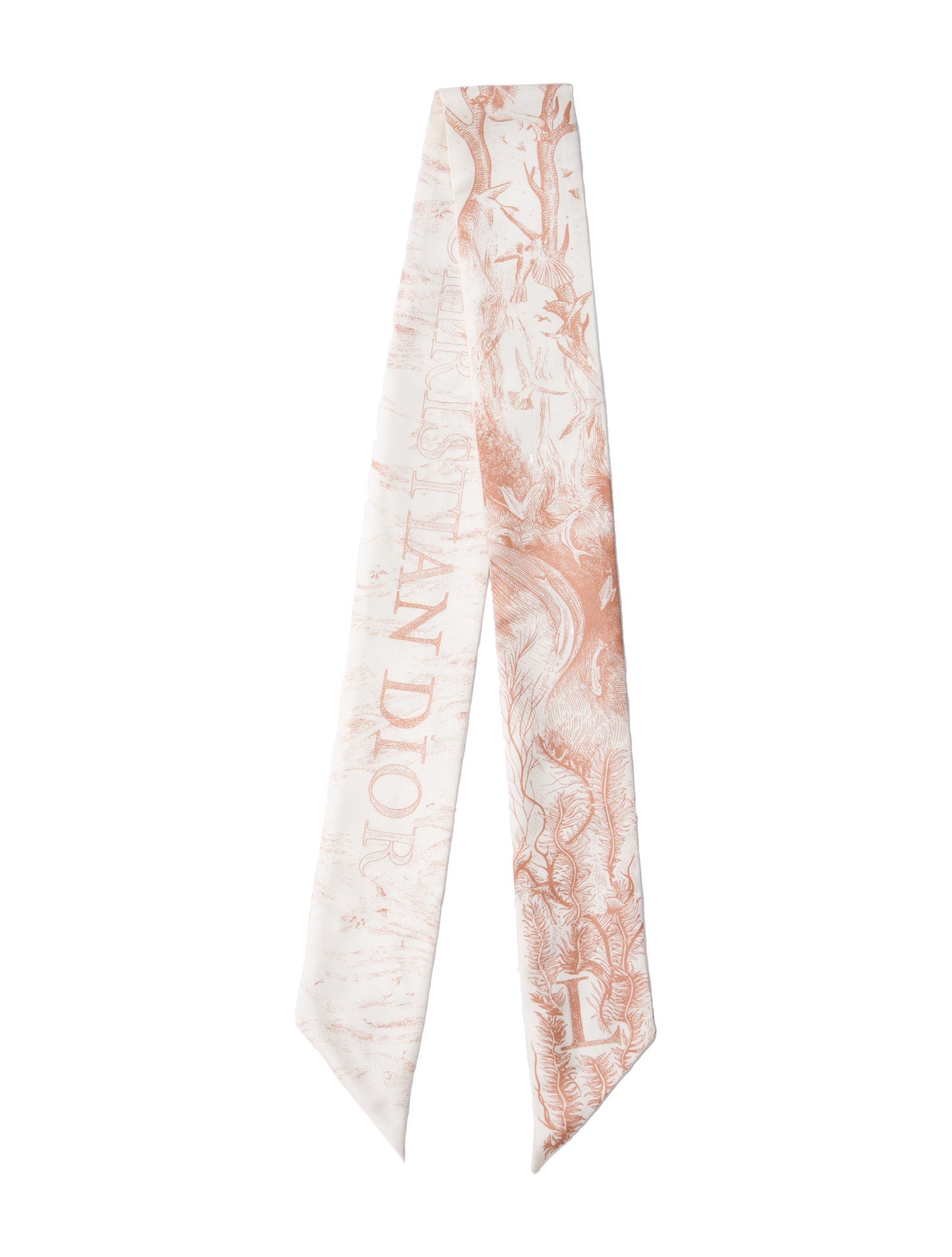 Christian Dior Silk Printed Scarf
