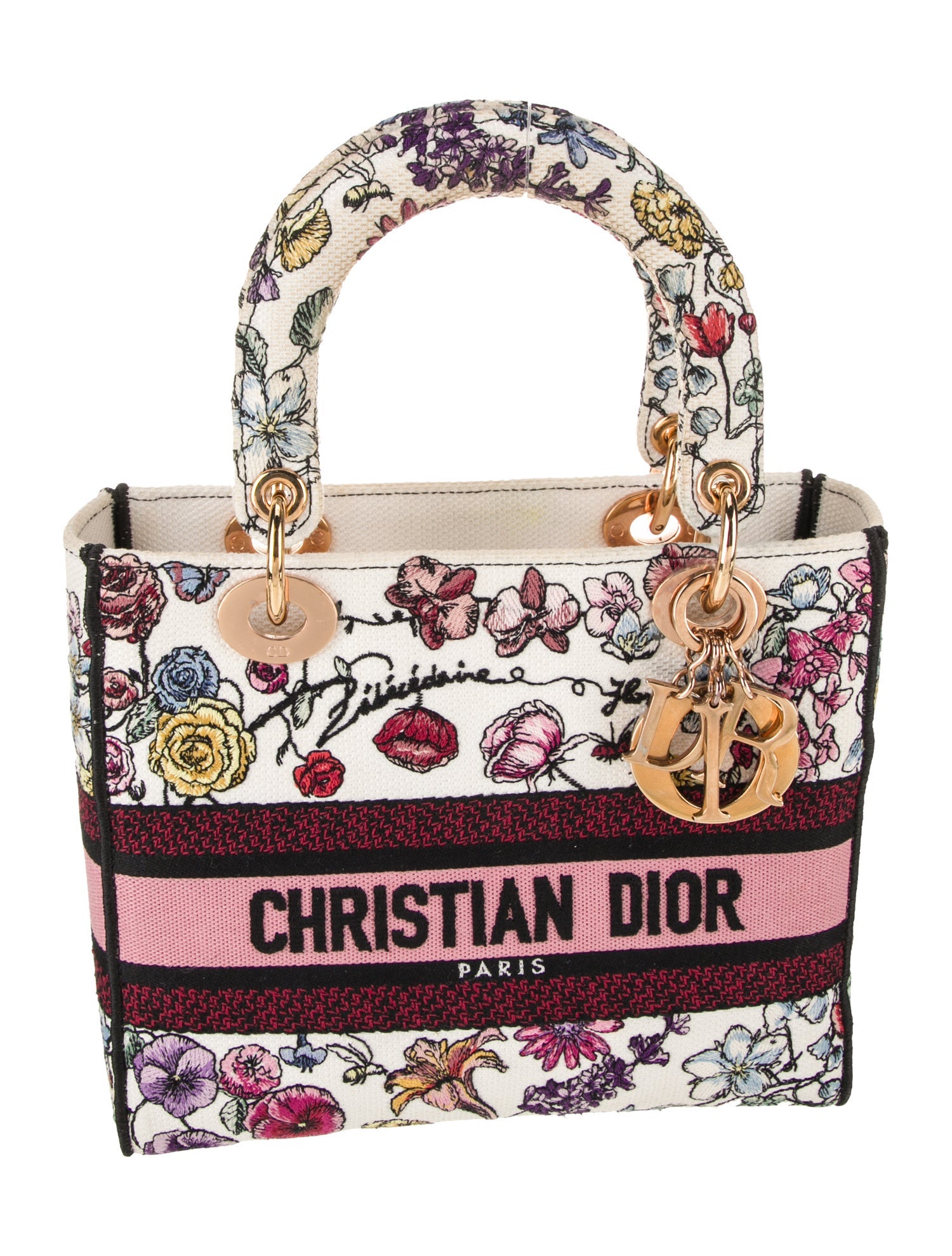 Christian Dior Signature D-Lite Medium 2023