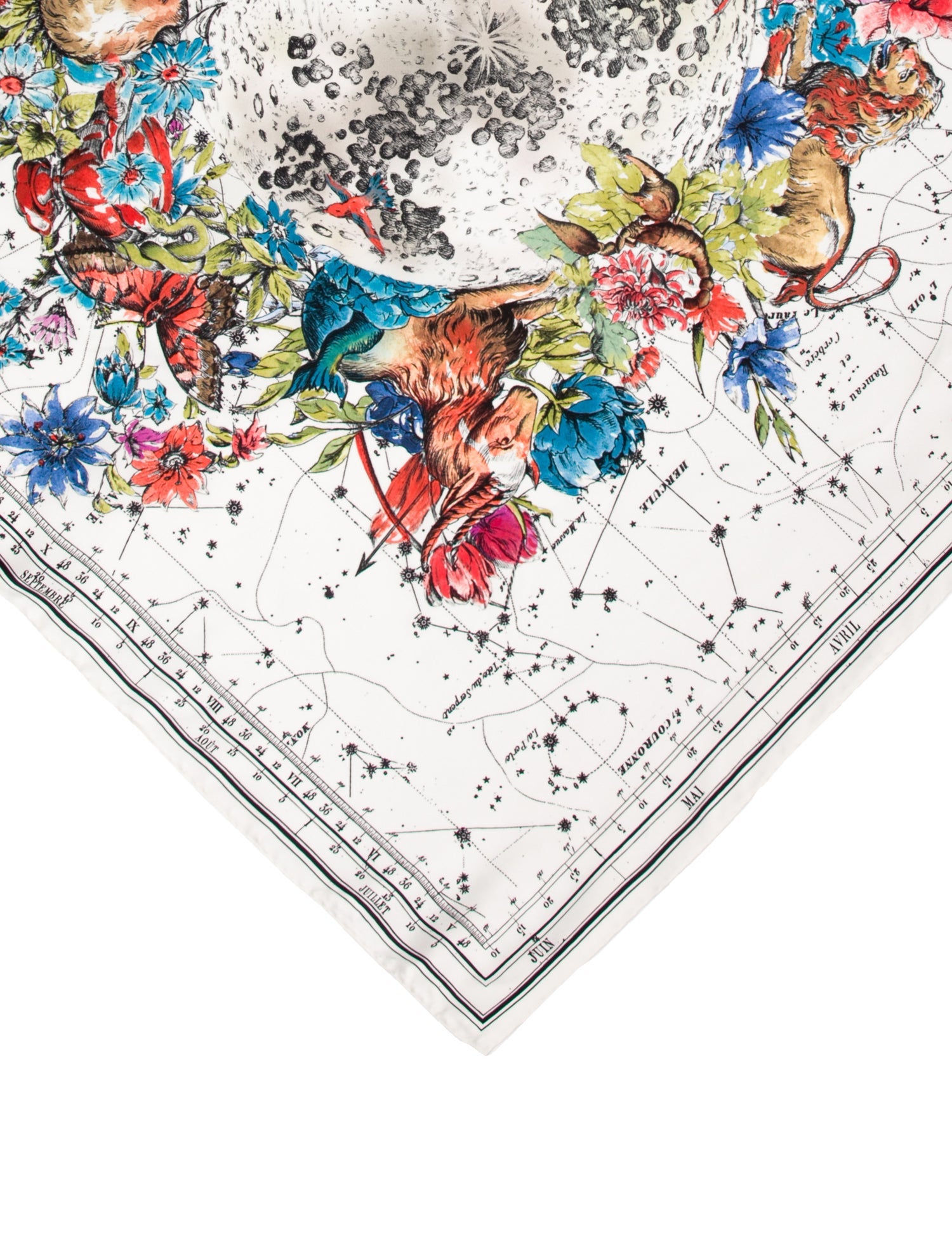 Christian Dior Silk Printed Scarf