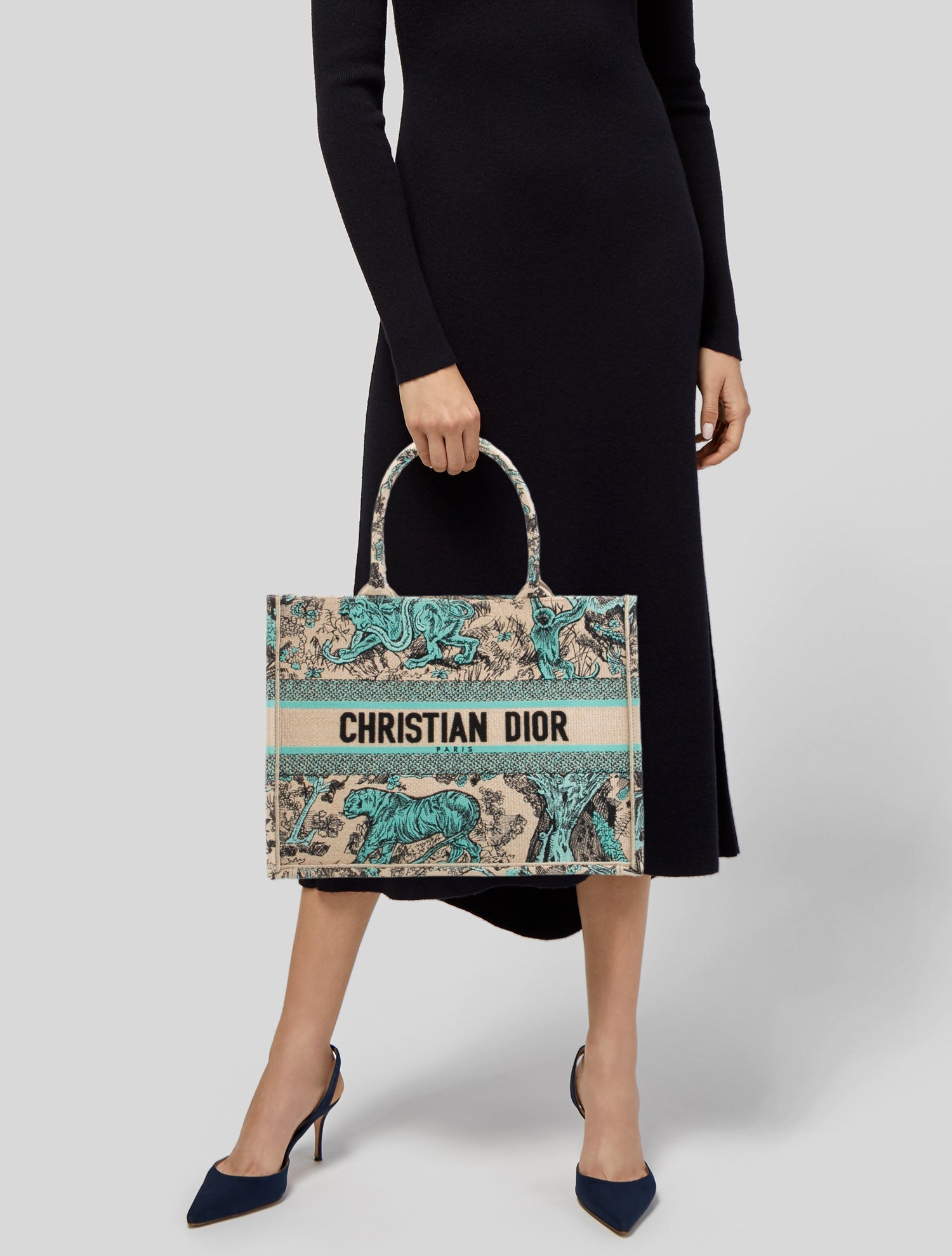 Christian Dior Raffia Book Medium 2024