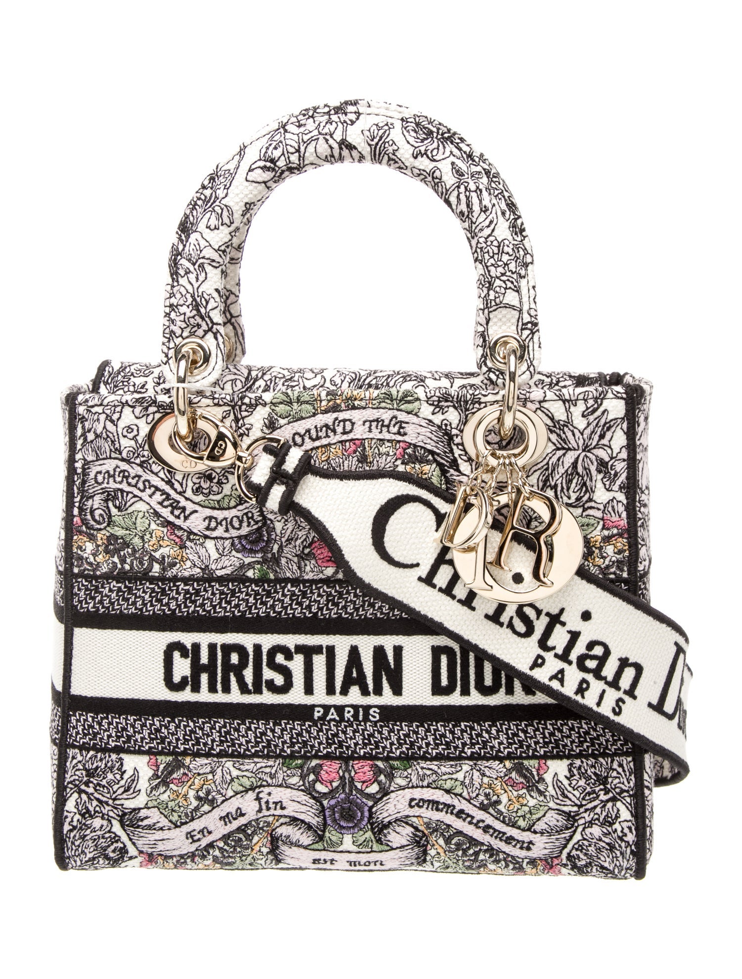 Christian Dior Canvas D-Lite Medium