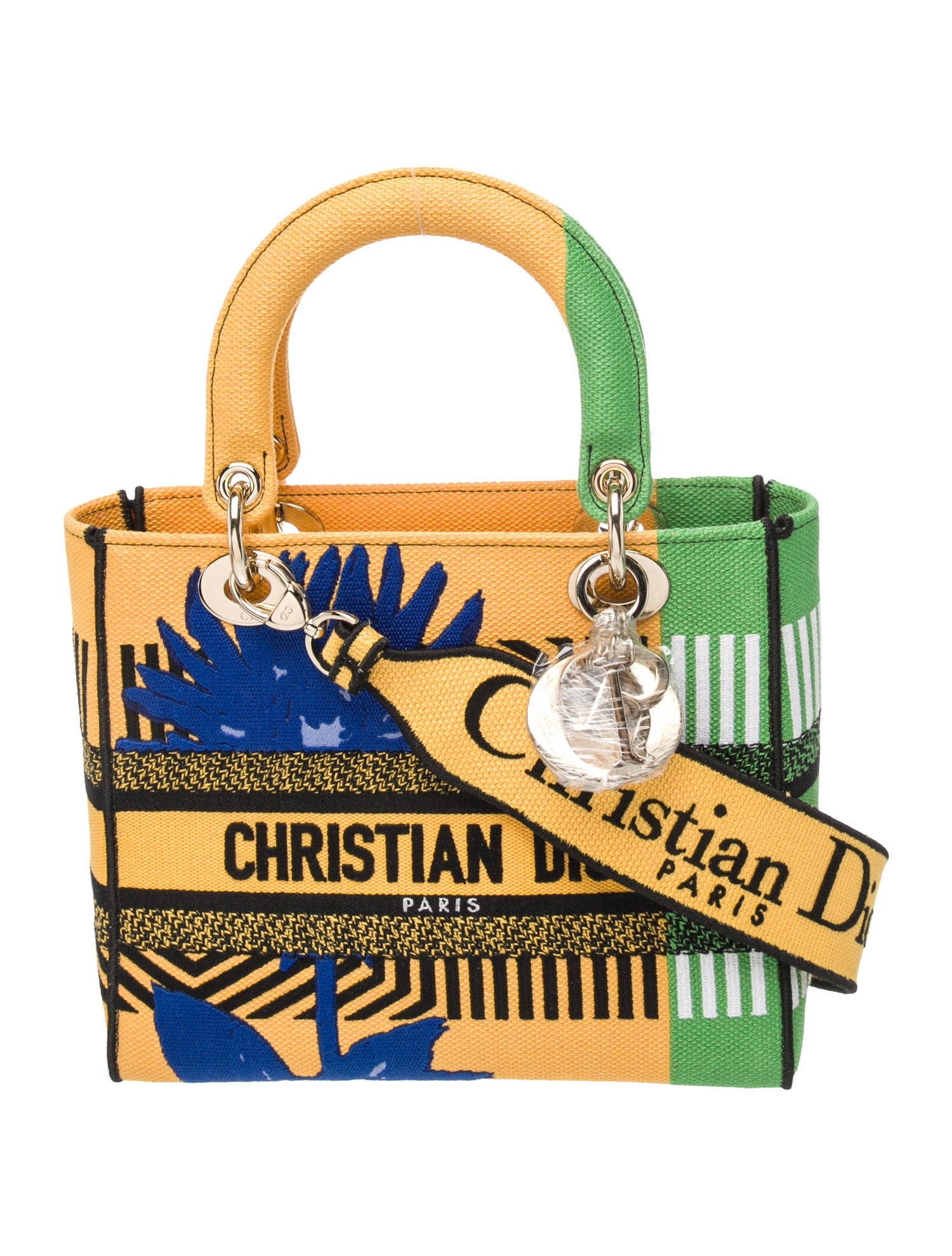 Christian Dior Canvas D-Lite